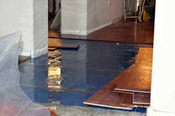 Professional Flood Cleanup technician working in Clare, IL